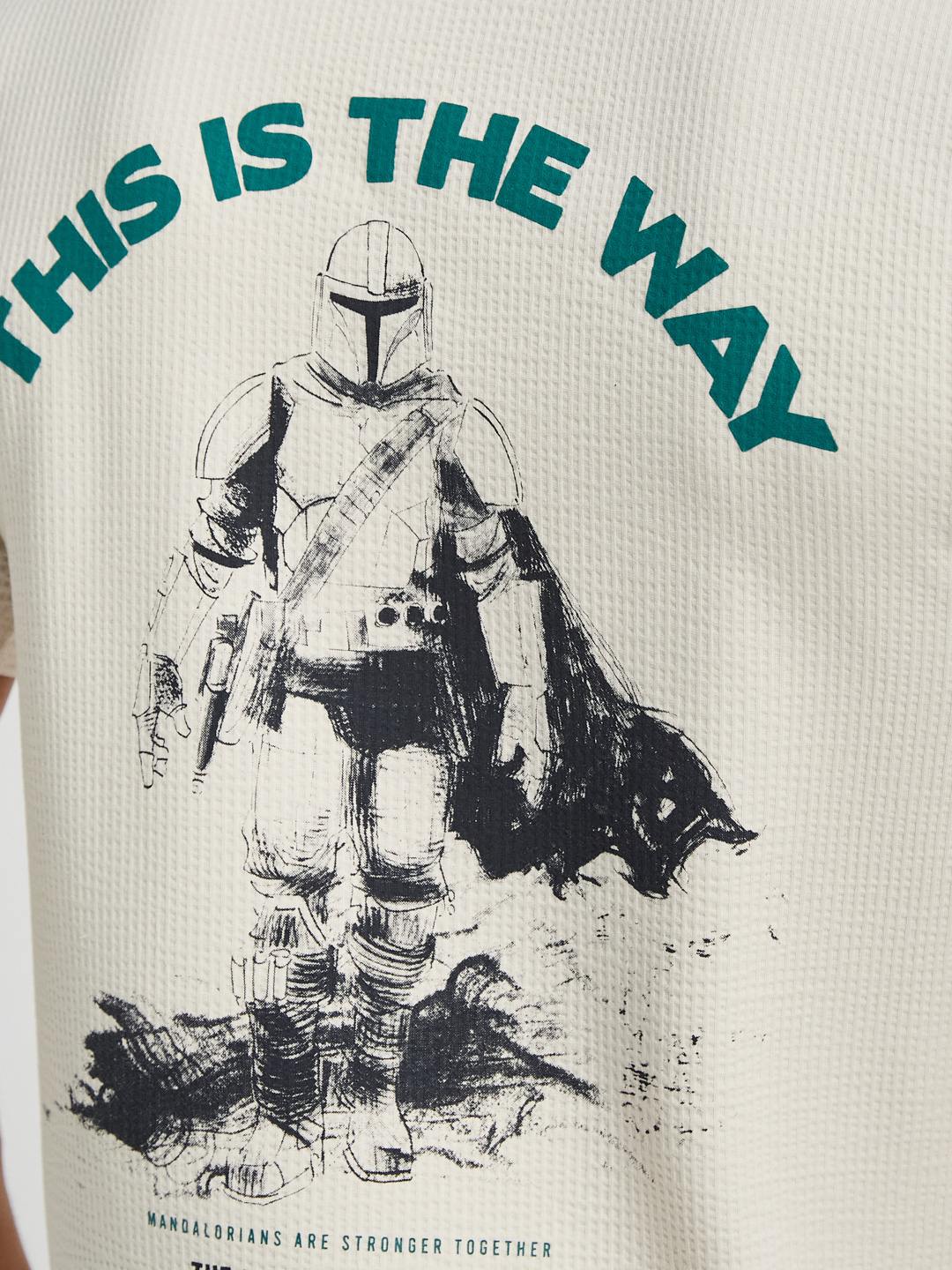 Octave Men Printed Applique Cotton Regular Fit T-shirt