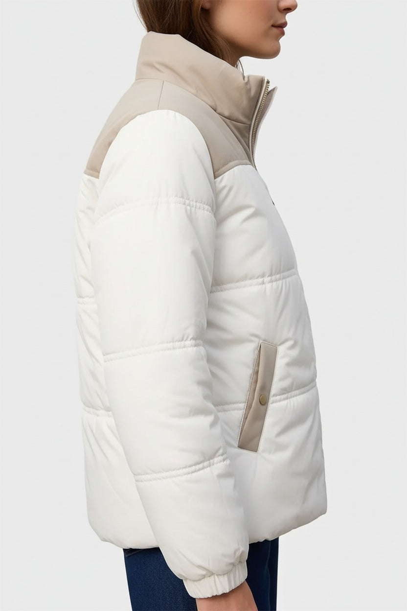 Women Colourblocked Mandarin Neck Jacket