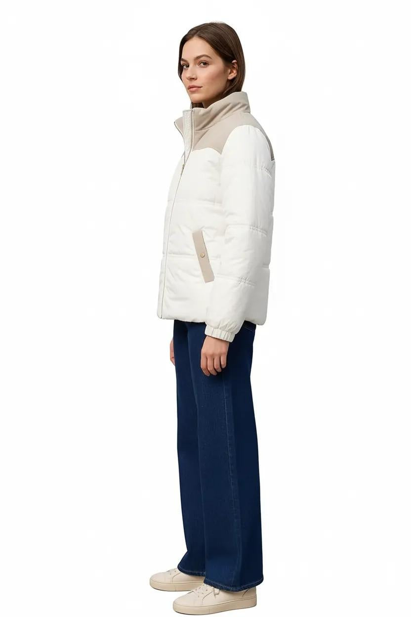 Women Colourblocked Mandarin Neck Jacket