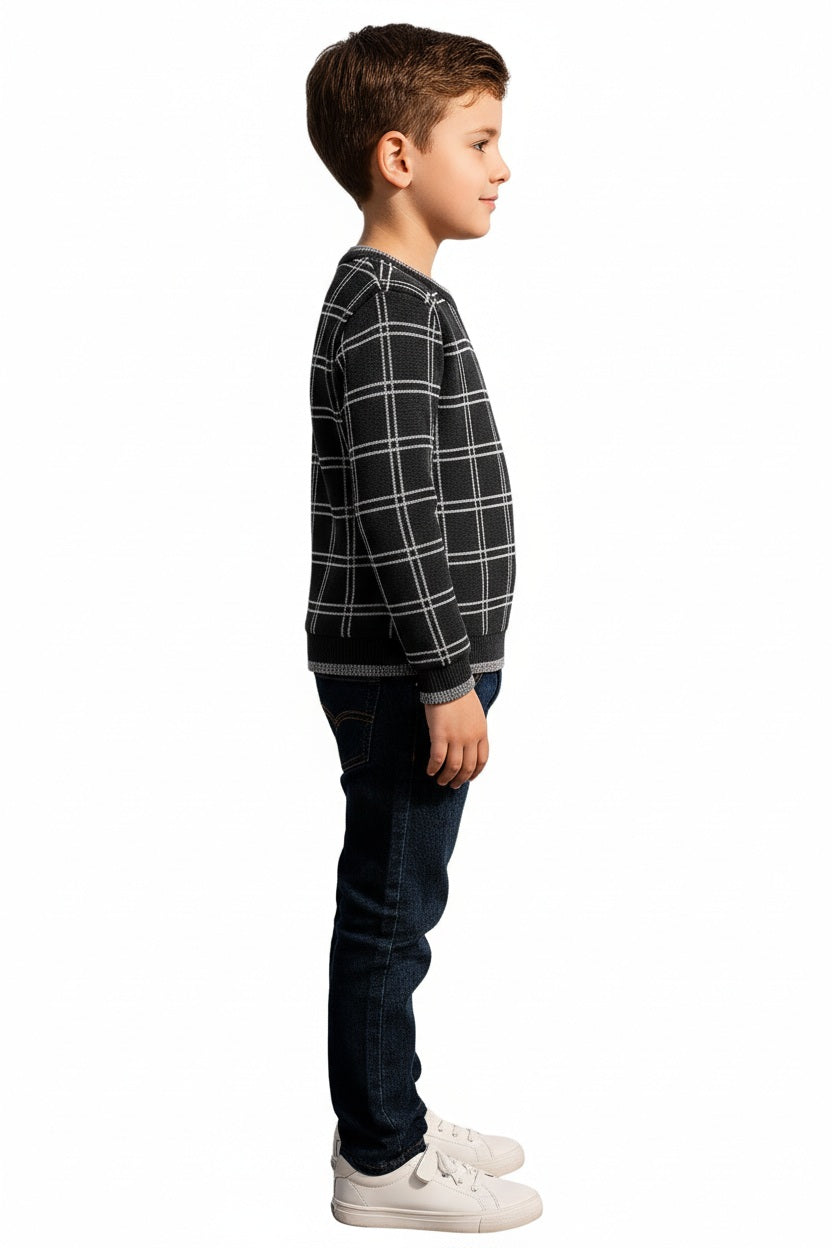 Boys Round Neck Checked Pullover Sweater