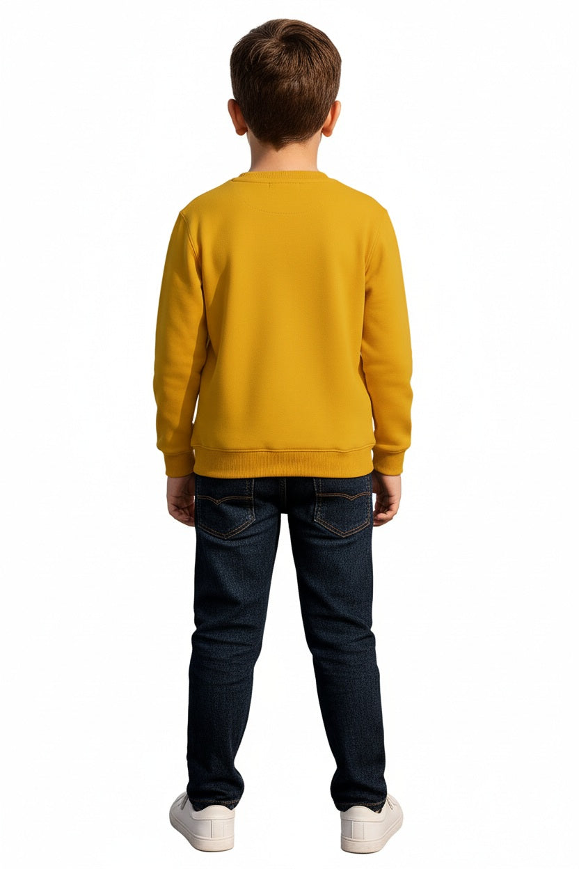Boys Round Neck Graphic Print Sweatshirt