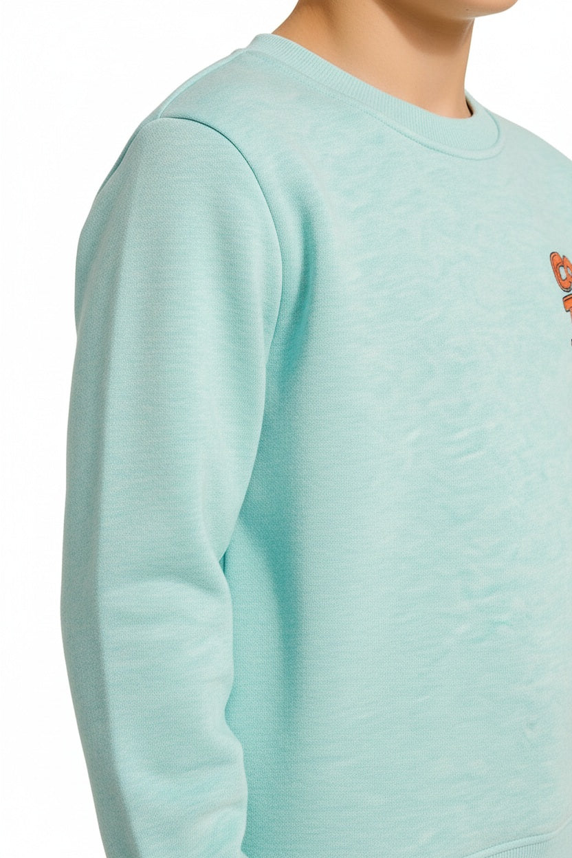 Boys Printed Sweatshirt