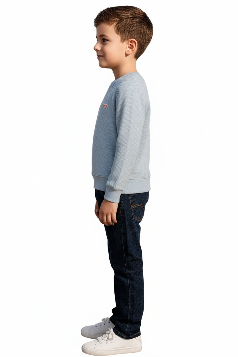 Boys Round Neck Solid Sweatshirt