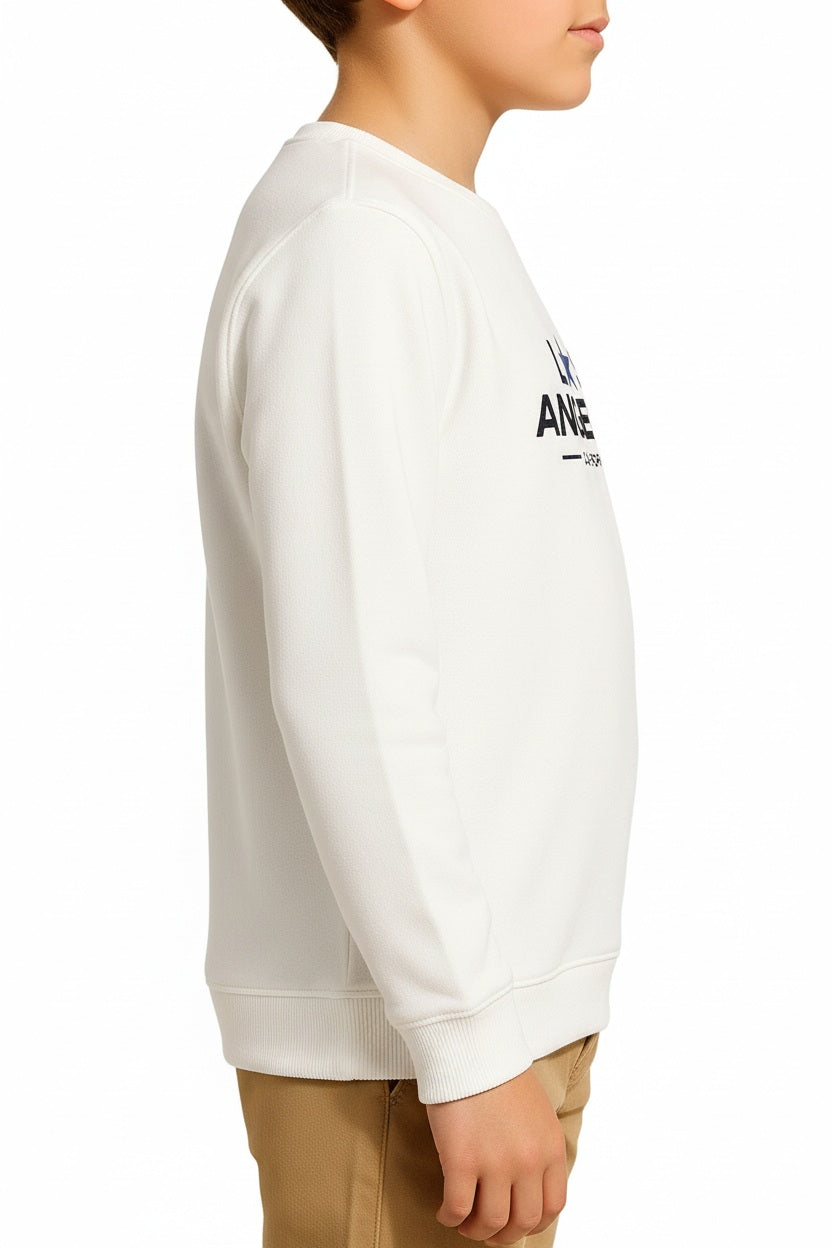 Boys Round Neck Graphic Print Sweatshirt