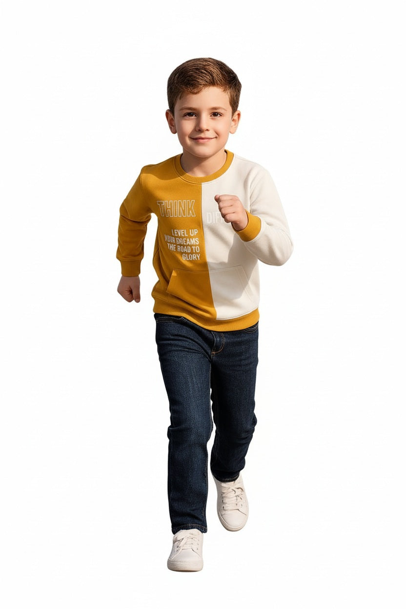 Boys Round Neck Colourblocked Sweatshirt