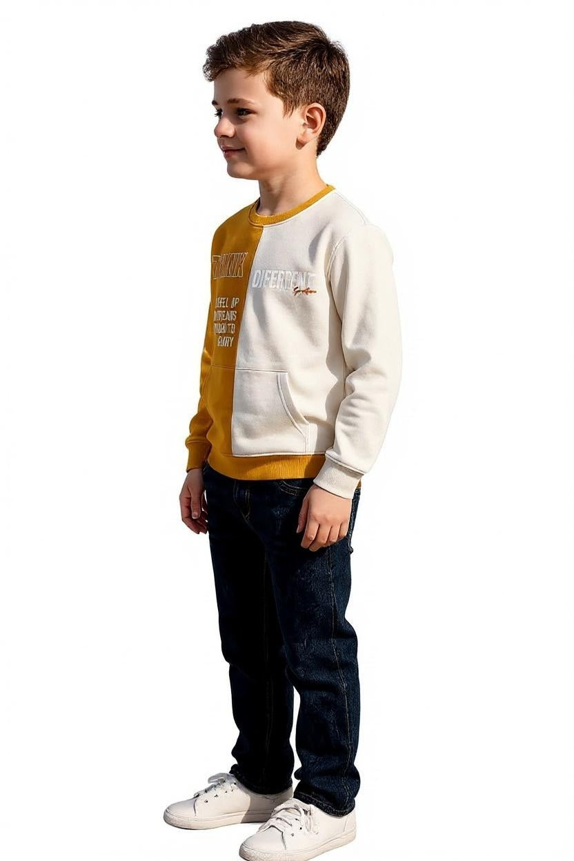 Boys Round Neck Colourblocked Sweatshirt