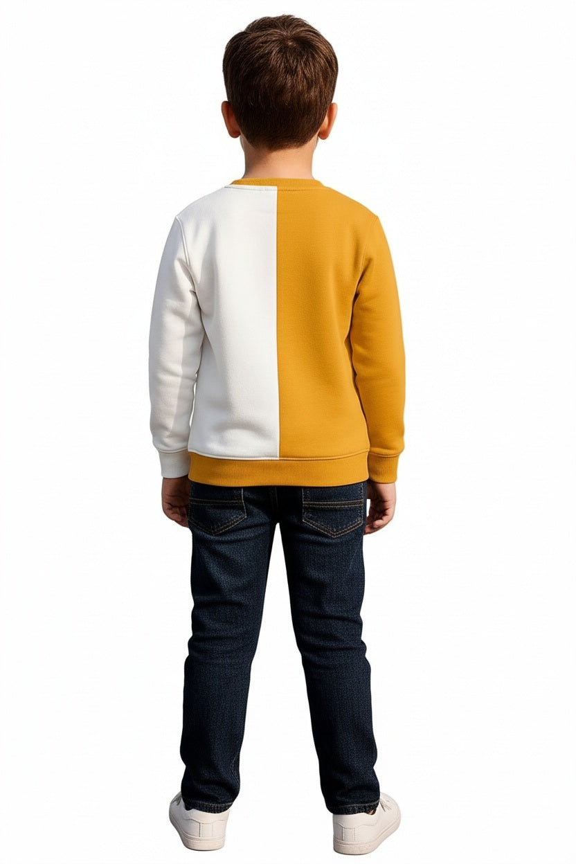 Boys Round Neck Colourblocked Sweatshirt