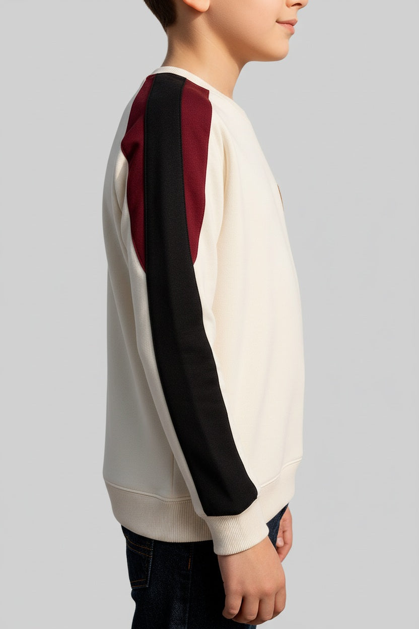 Boys Round Neck Colourblocked Sweatshirt