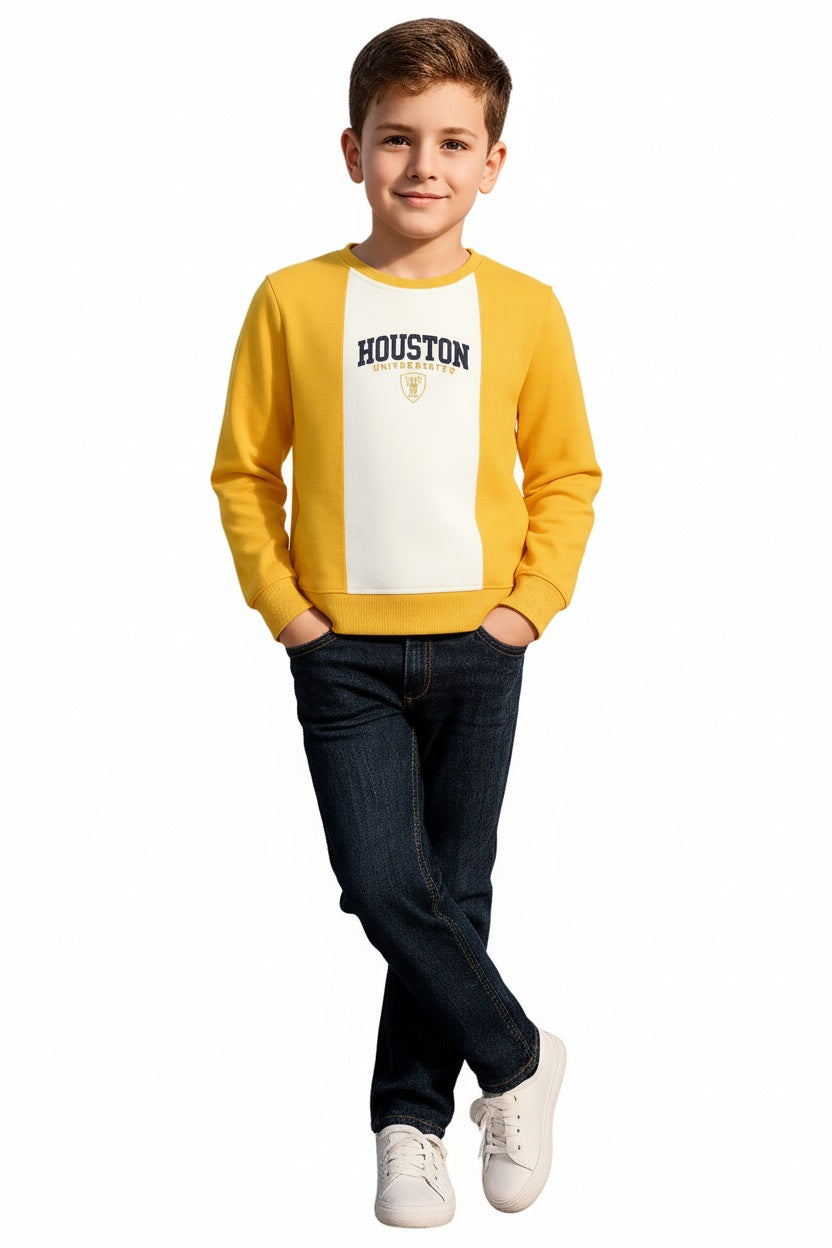 Boys Round Neck Colourblocked Sweatshirt