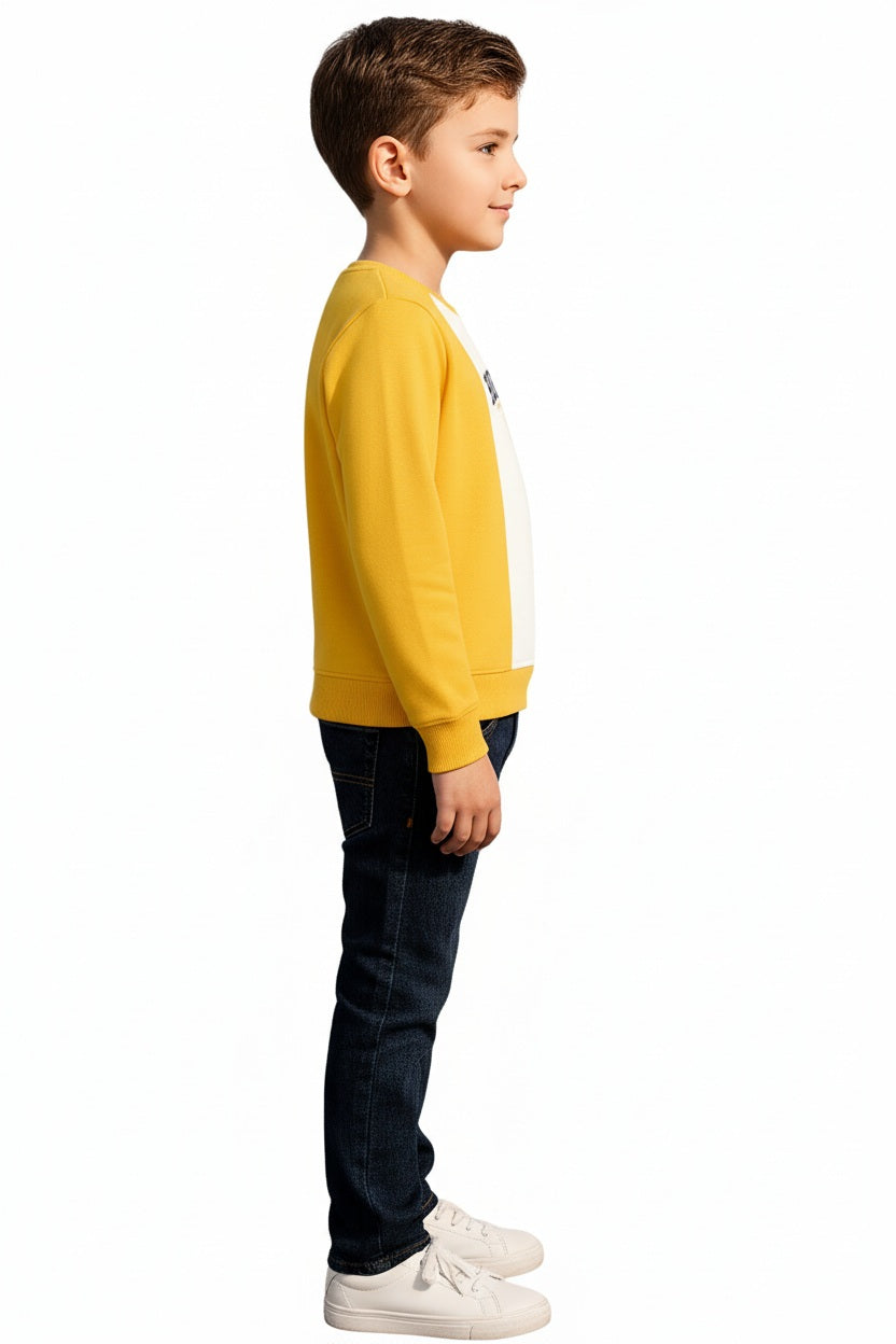 Boys Round Neck Colourblocked Sweatshirt