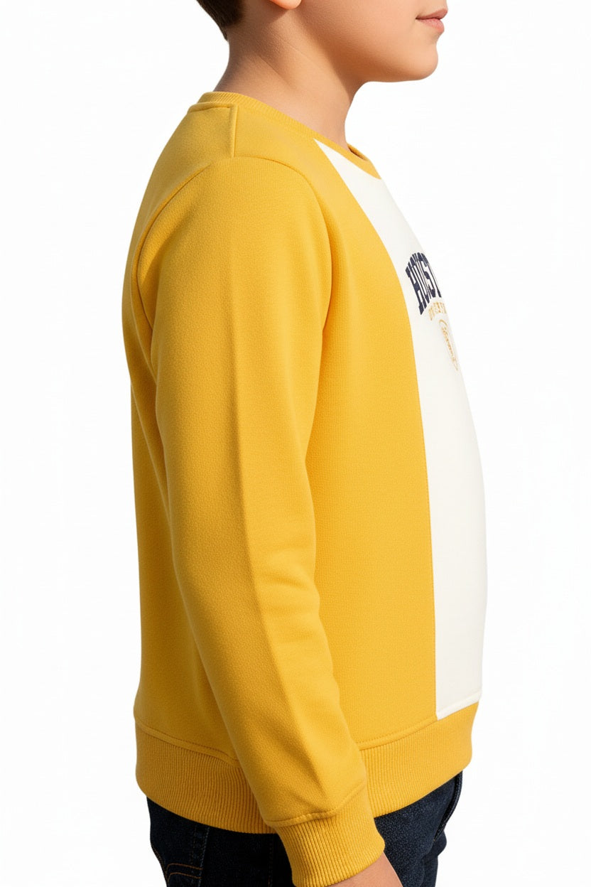 Boys Round Neck Colourblocked Sweatshirt