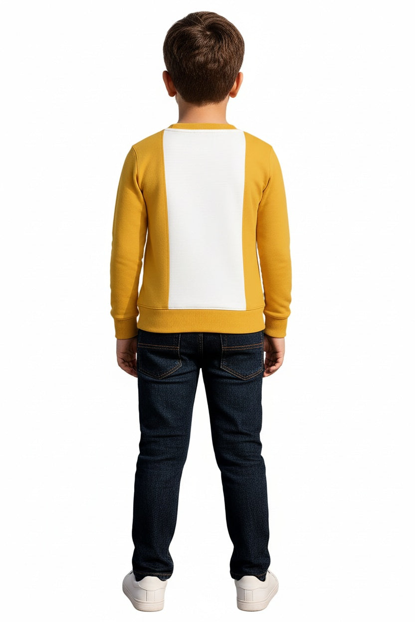Boys Round Neck Colourblocked Sweatshirt