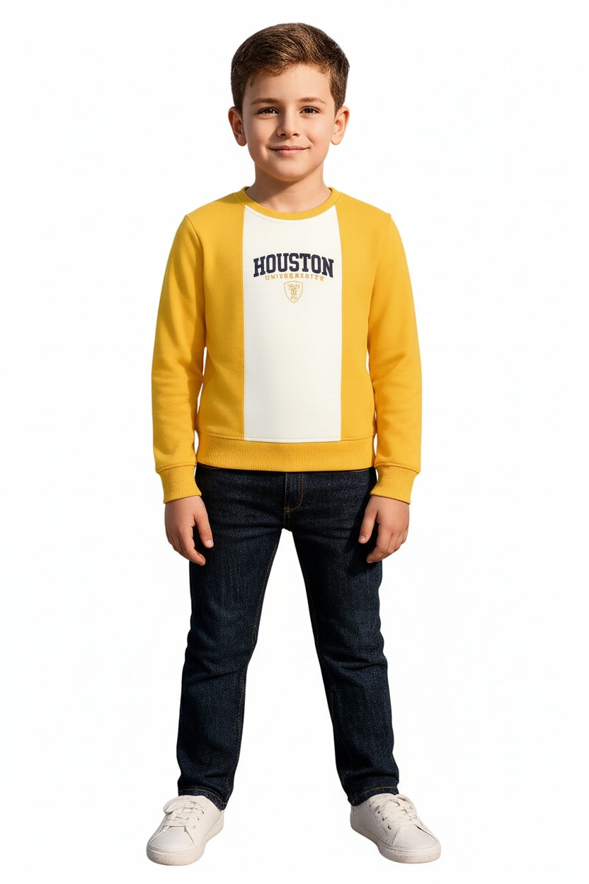 Boys Round Neck Colourblocked Sweatshirt
