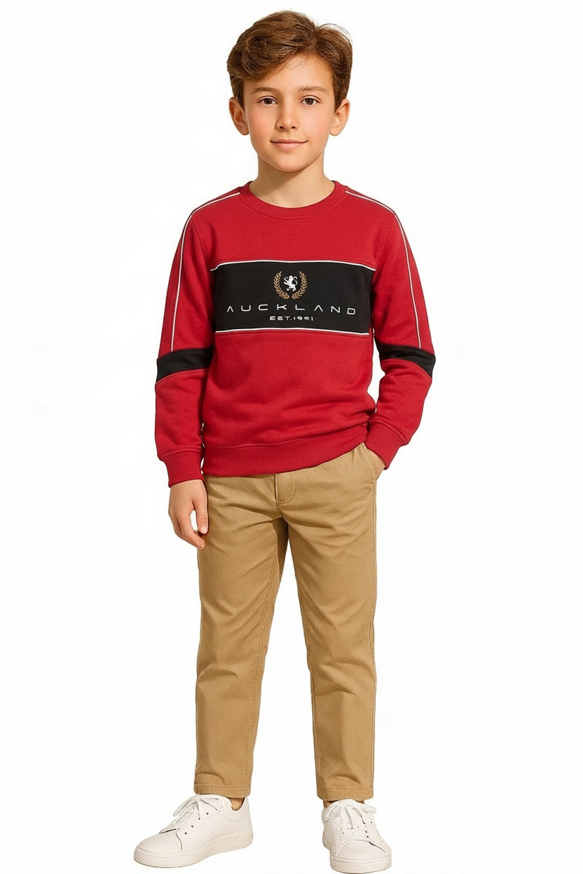 Boys Colourblocked Sweatshirt