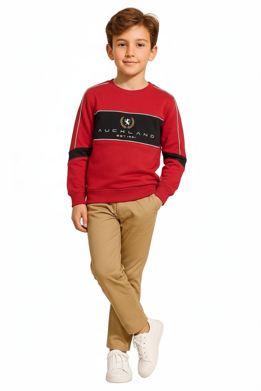 Boys Colourblocked Sweatshirt