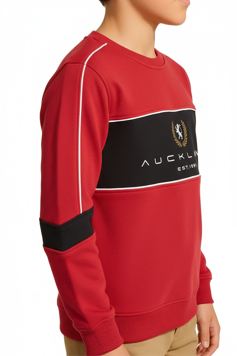 Boys Colourblocked Sweatshirt