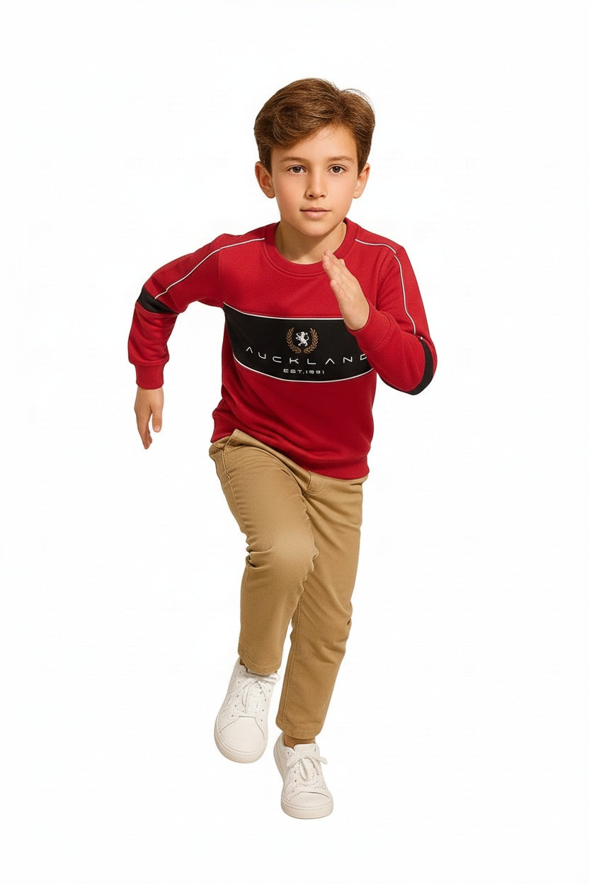 Boys Colourblocked Sweatshirt