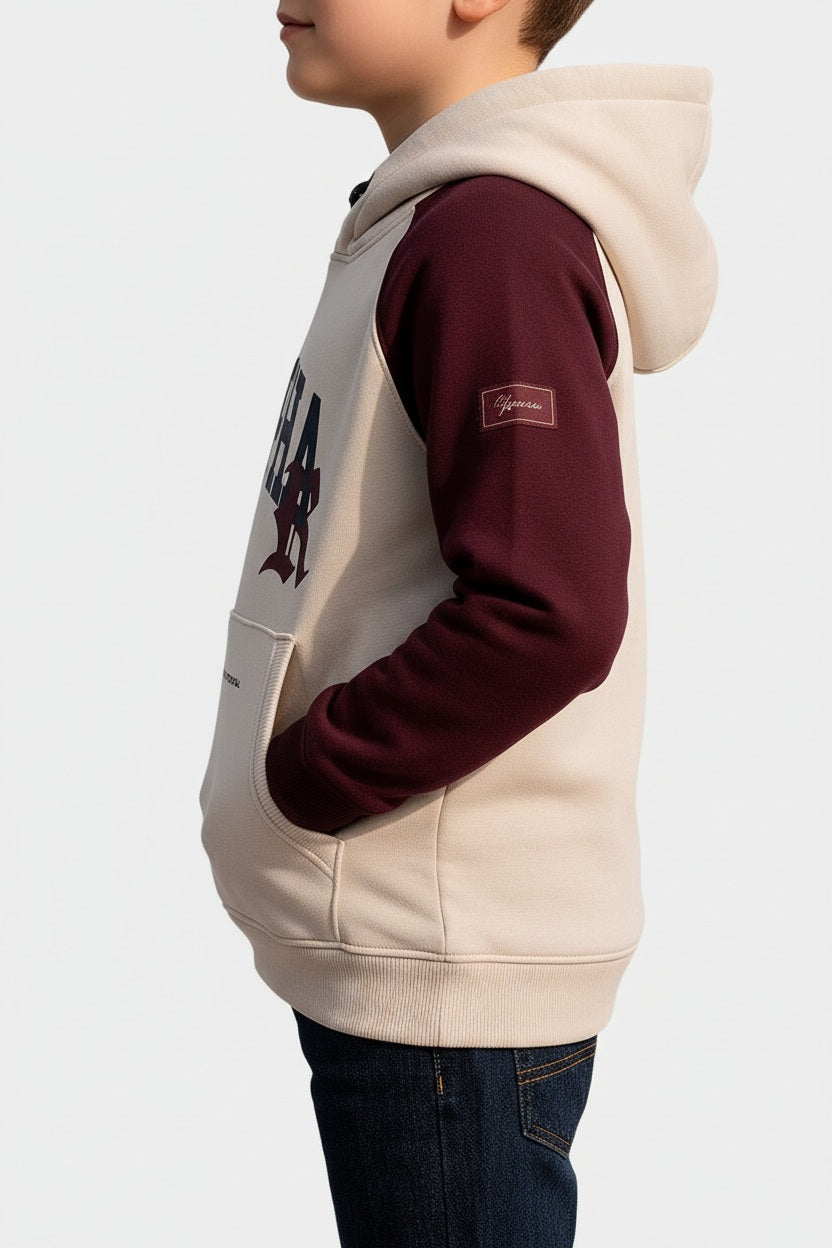 Boys Colourblocked Hooded Sweatshirt