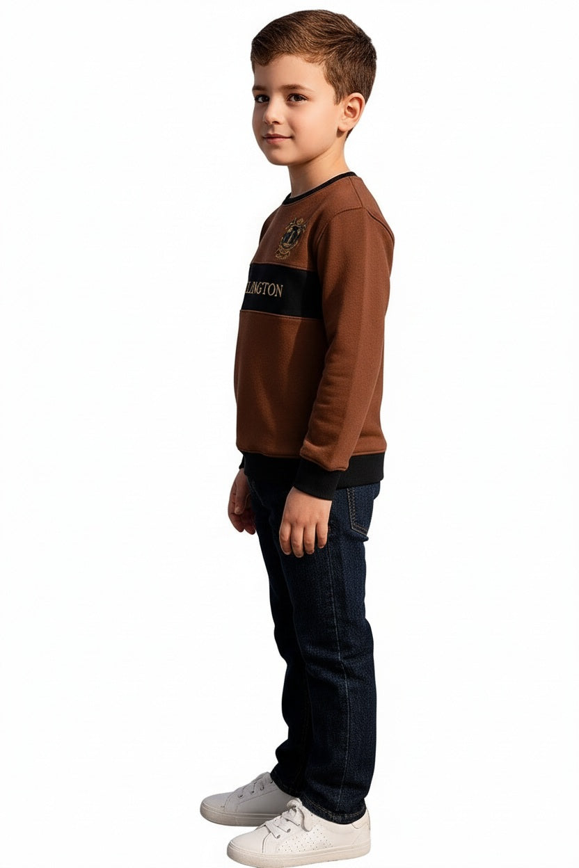 Boys Colourblocked Sweatshirt