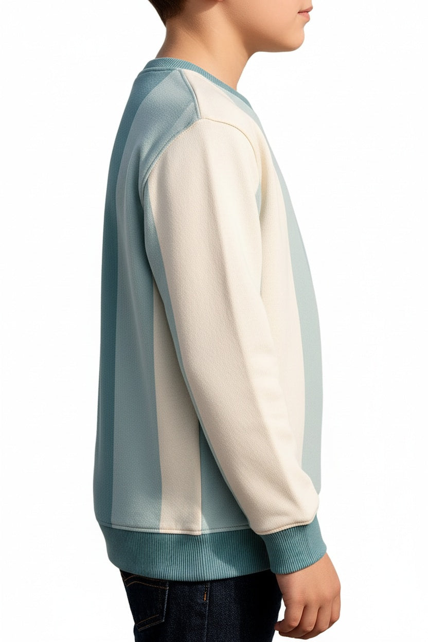 Boys Round Neck Colourblocked Sweatshirt