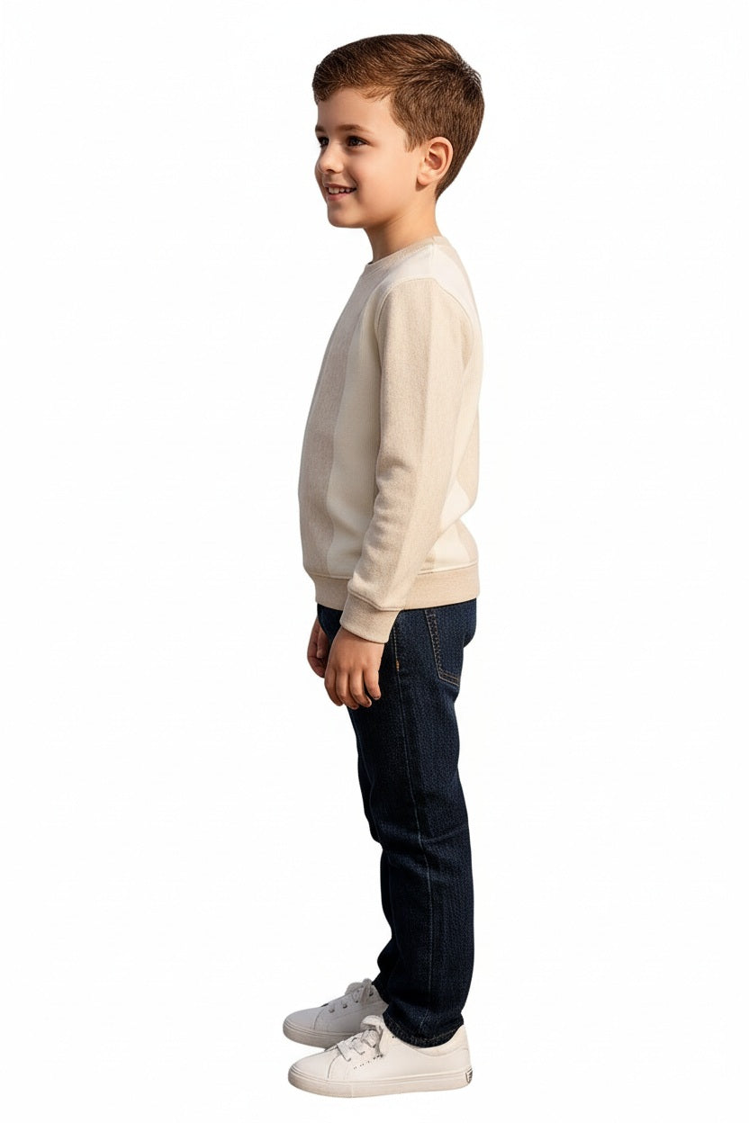 Boys Round Neck Colourblocked Sweatshirt