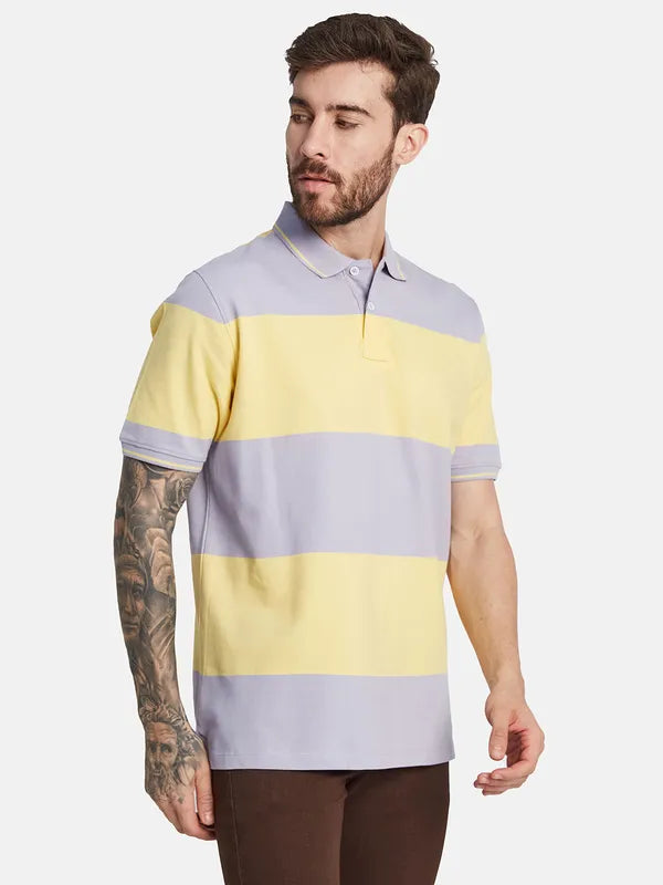 Octave Striped Polo Collar Short Sleeves Regular Fit Cotton T-Shirt