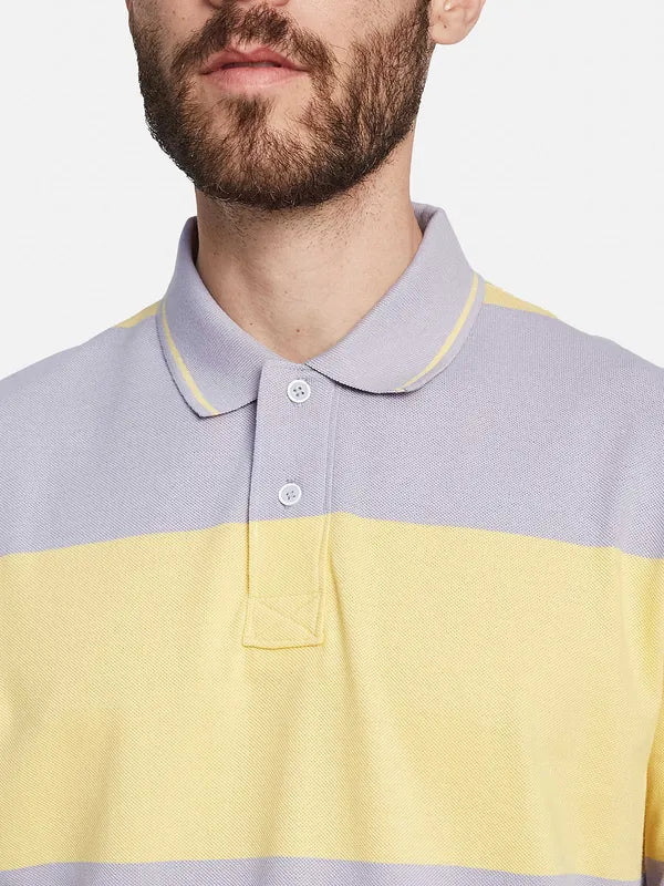 Octave Striped Polo Collar Short Sleeves Regular Fit Cotton T-Shirt