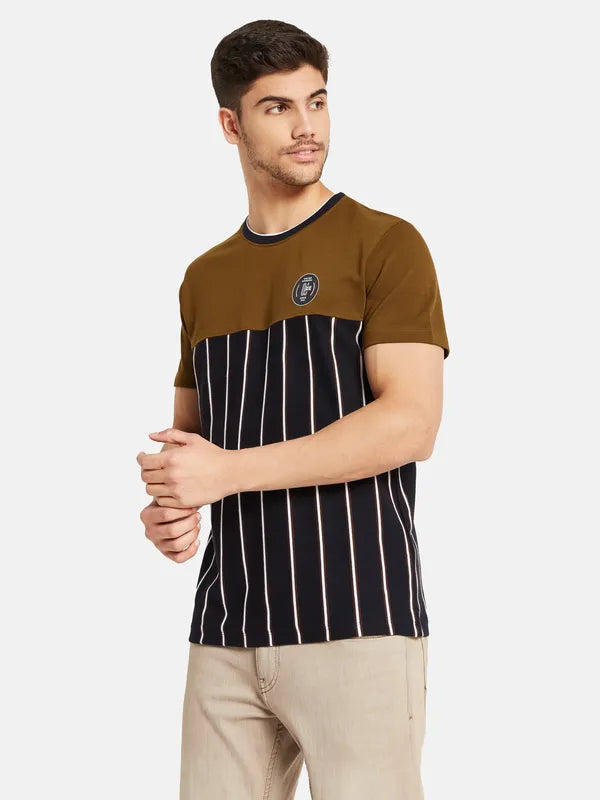 Vertical Stripes Colourblocked T-Shirt