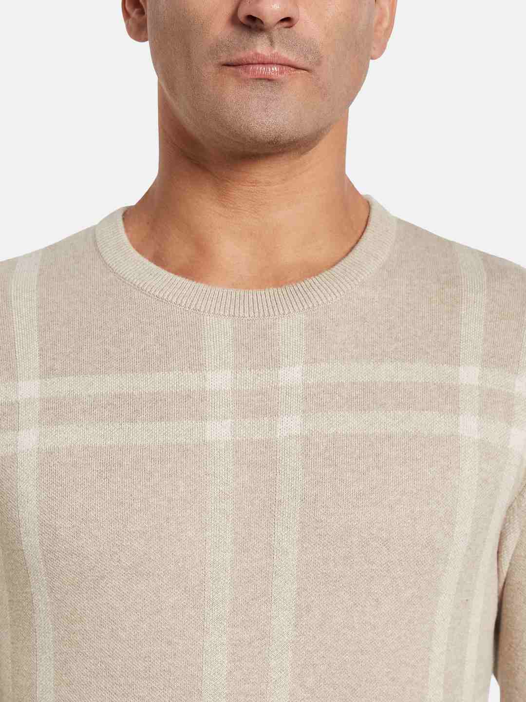 METTLE Men Checked Pullover
