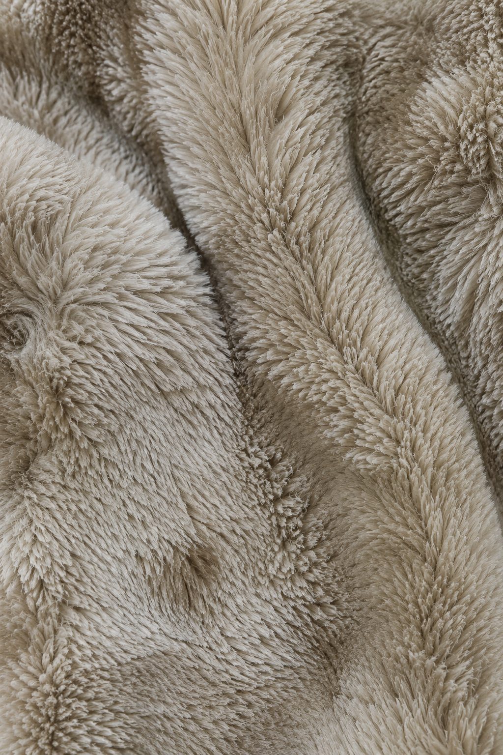 Men’s Sand Fur Full-Zip Winter Sweatshirt | Stand Collar