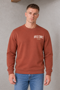 Men's Regular Fit Knitted Cotton Fleece Crew Neck Sweatshirt with Unplug 2 Connect Graphic Print – Rust