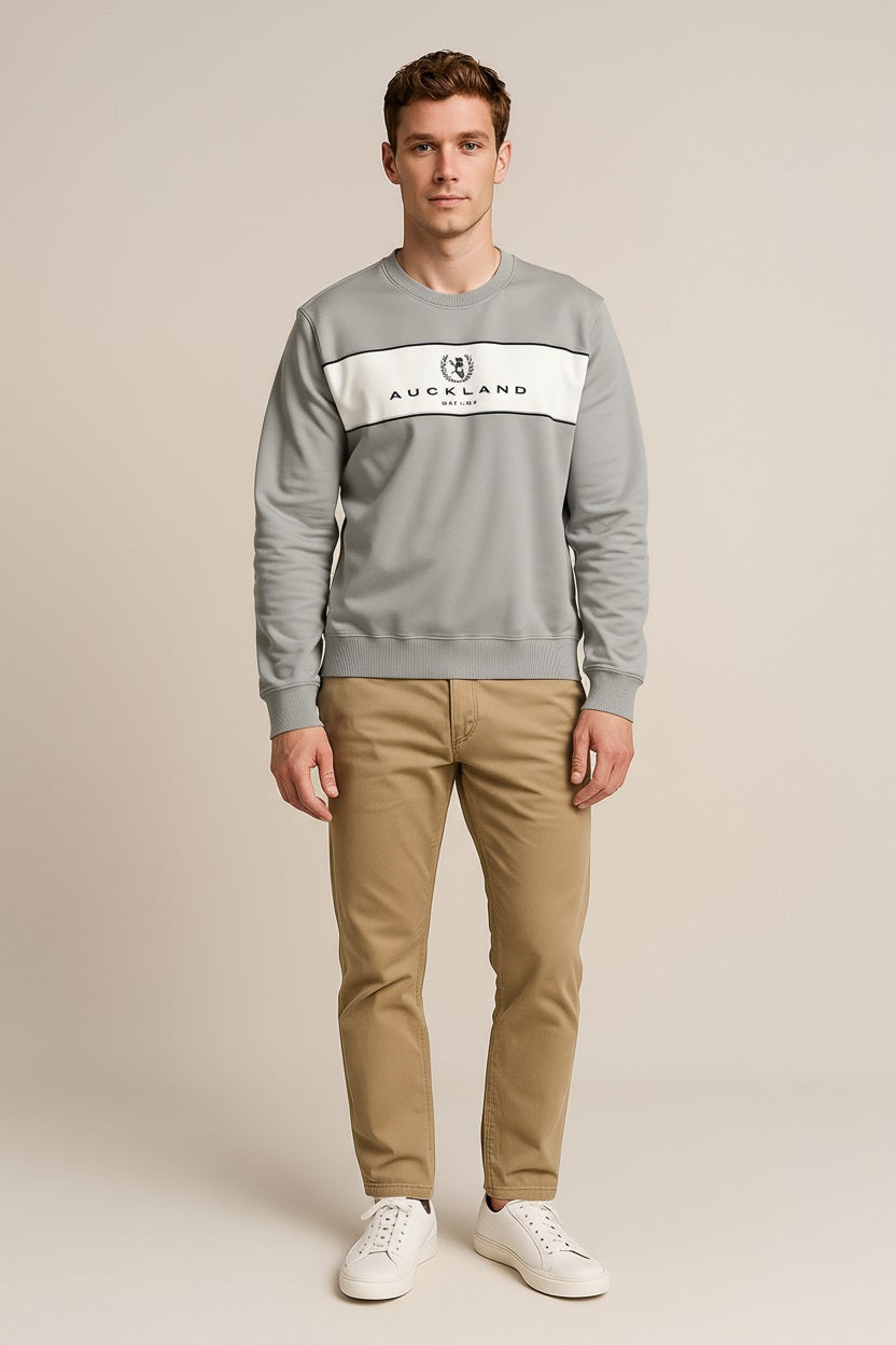 Octave Men Silver Colourblocked Round Neck Sweatshirt