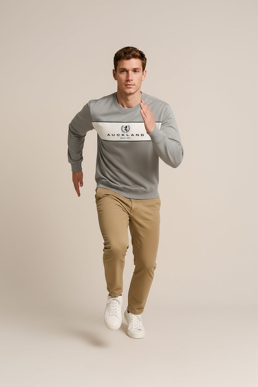 Octave Men Silver Colourblocked Round Neck Sweatshirt