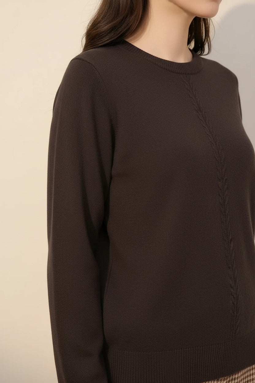 Women Solid Round Neck Sweater