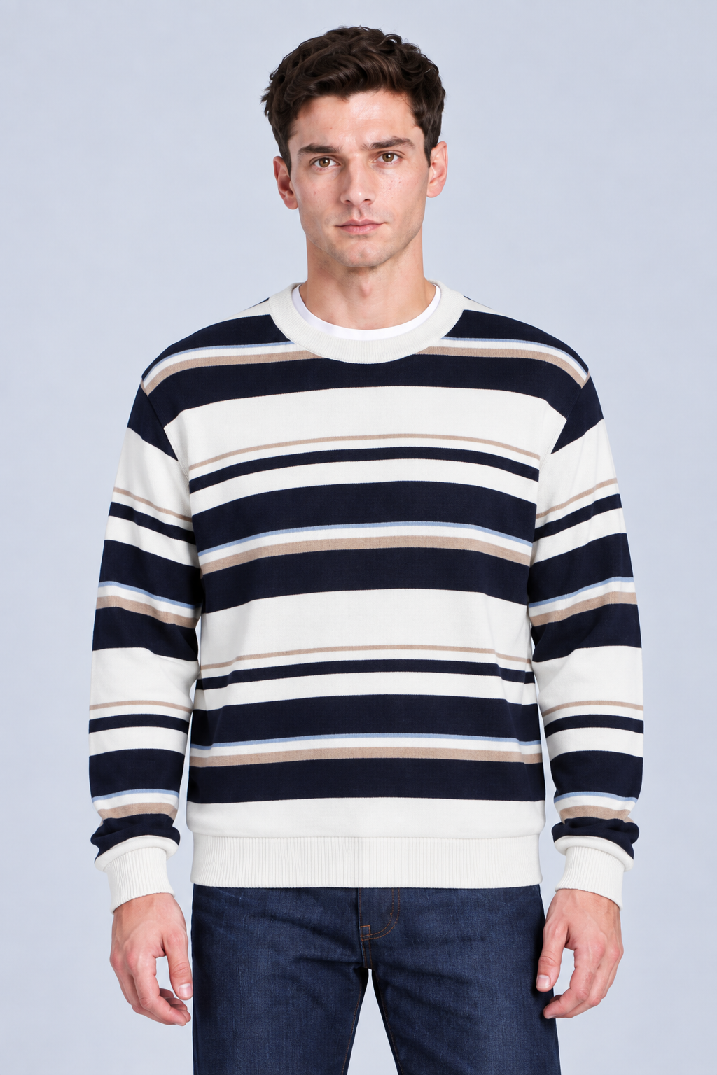 Men’s Regular Fit Knitted Striped Crew Neck Sweater – Navy