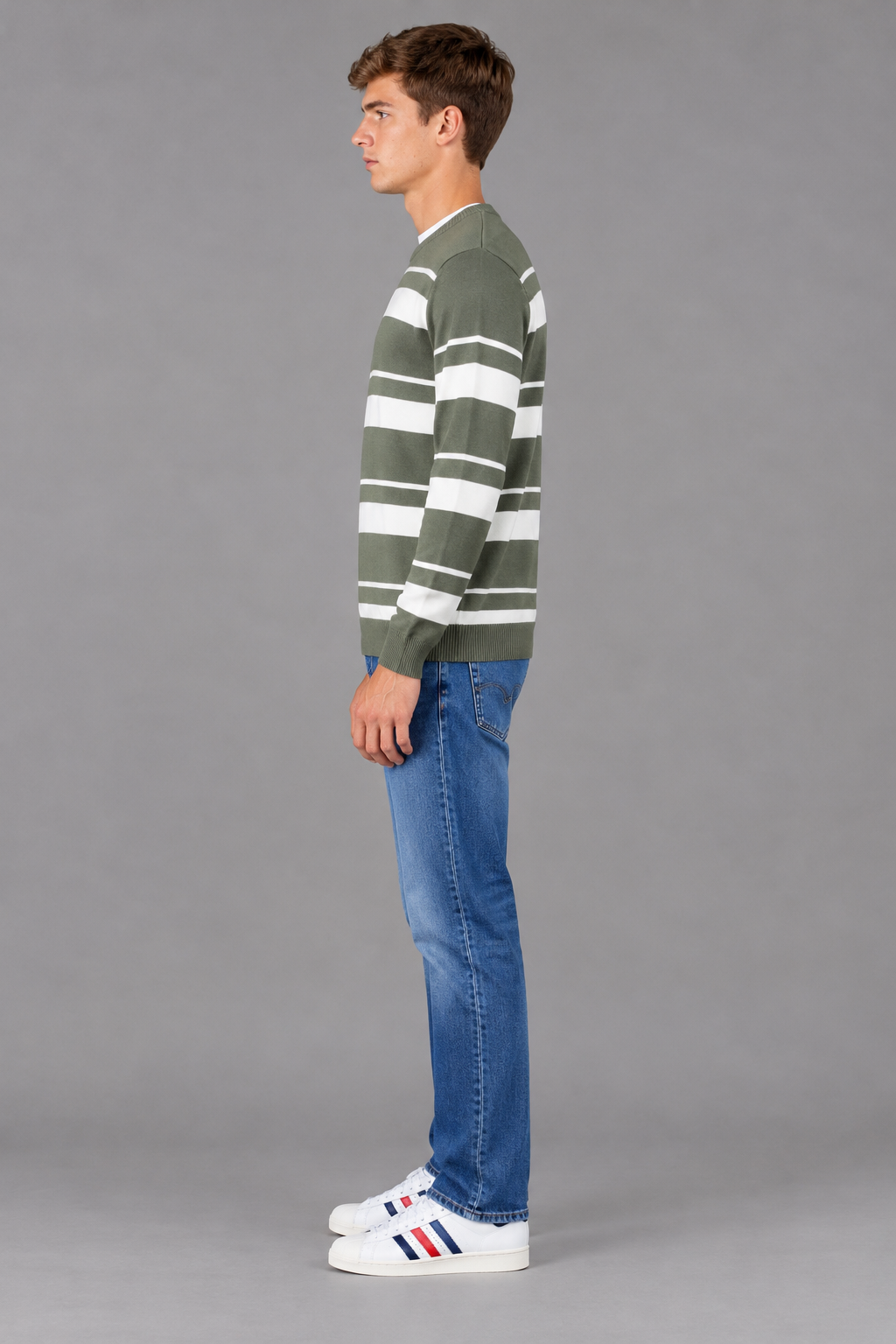 Men’s Desert Sage Striped Regular Fit Round Neck Knitted Sweater
