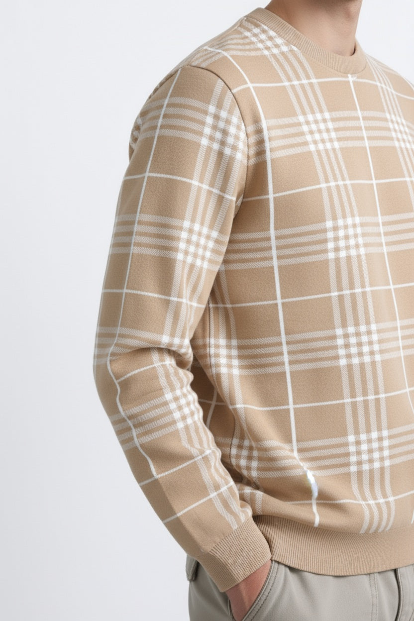 Men Stone Checked Round Neck Pullover Sweater
