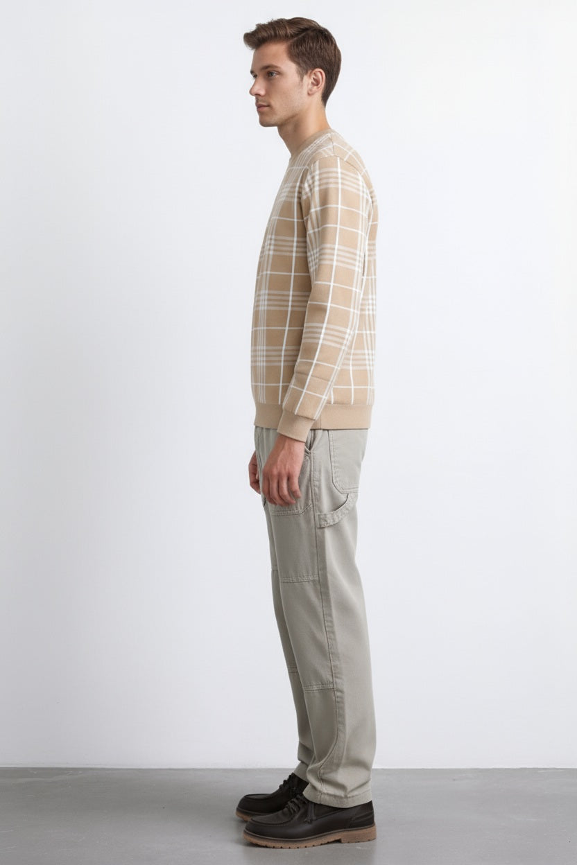 Men Stone Checked Round Neck Pullover Sweater