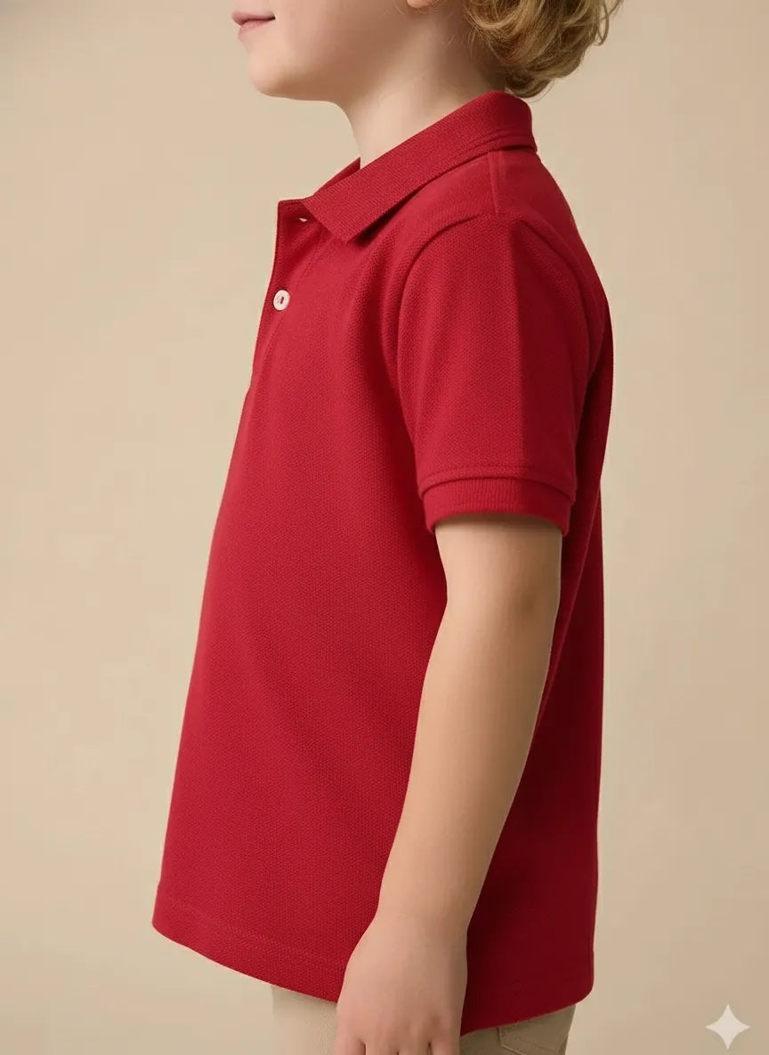 Boy Brick Solid Polo Neck T-Shirt