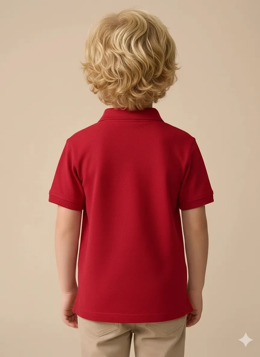 Boy Brick Solid Polo Neck T-Shirt