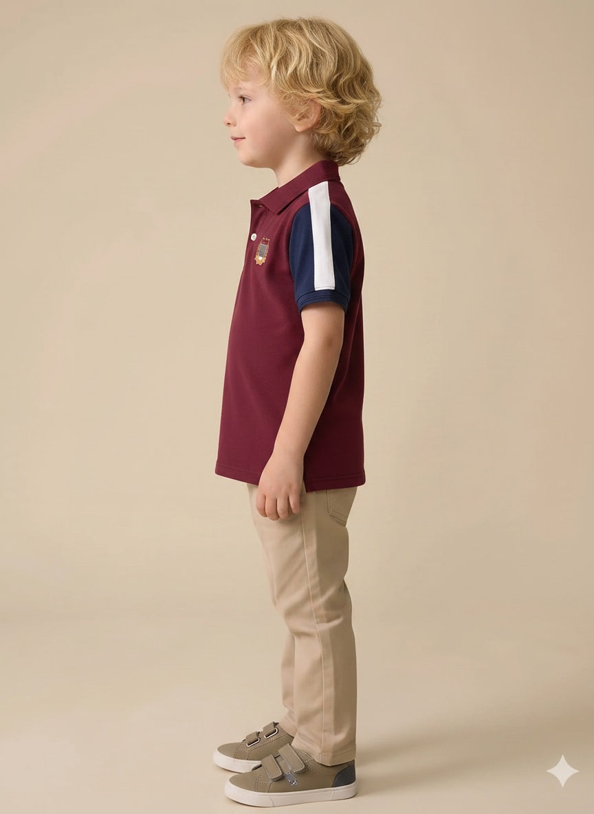 Boys Merlot Printed Polo Collar T-shirt