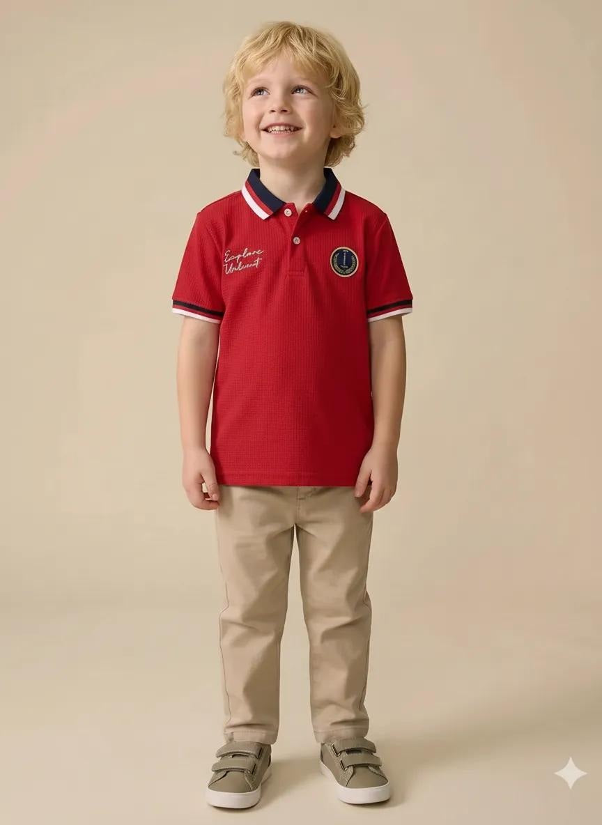 Boys Brick Printed Polo Collar T-shirt