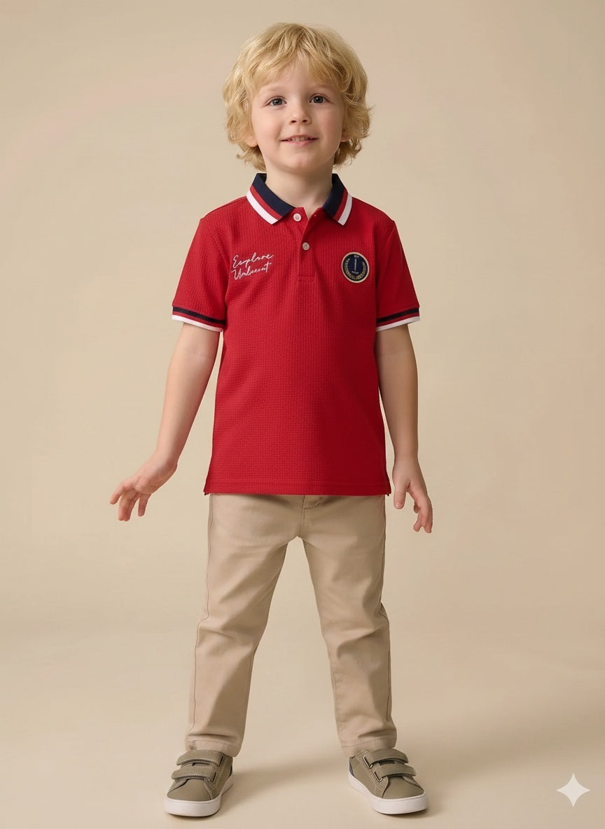 Boys Brick Printed Polo Collar T-shirt