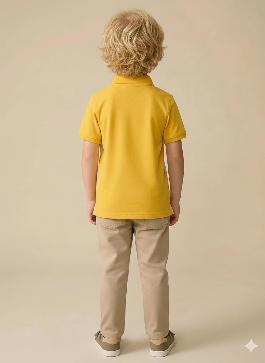 Boys Mustard Colourblocked Polo Collar T-shirt