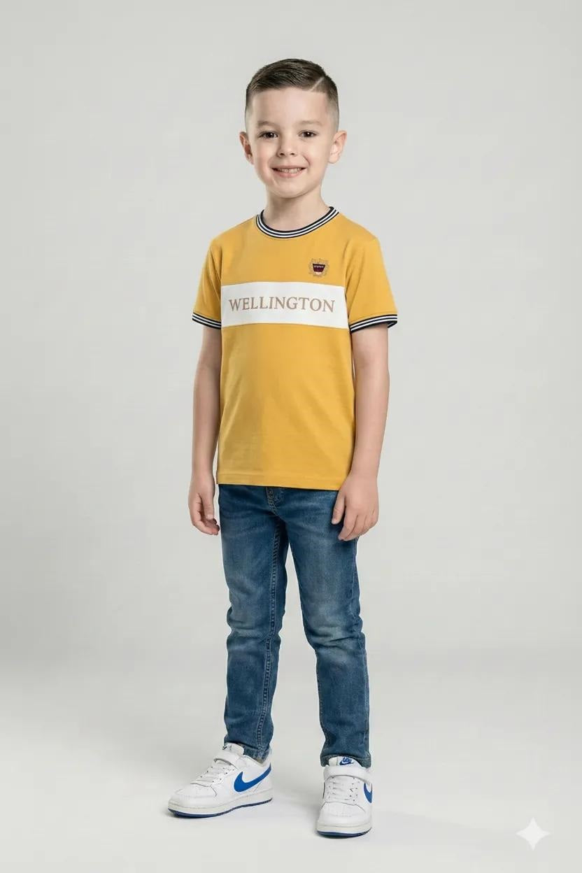 Boys Mustard Printed Round Nek Short Sleeve T-shirt