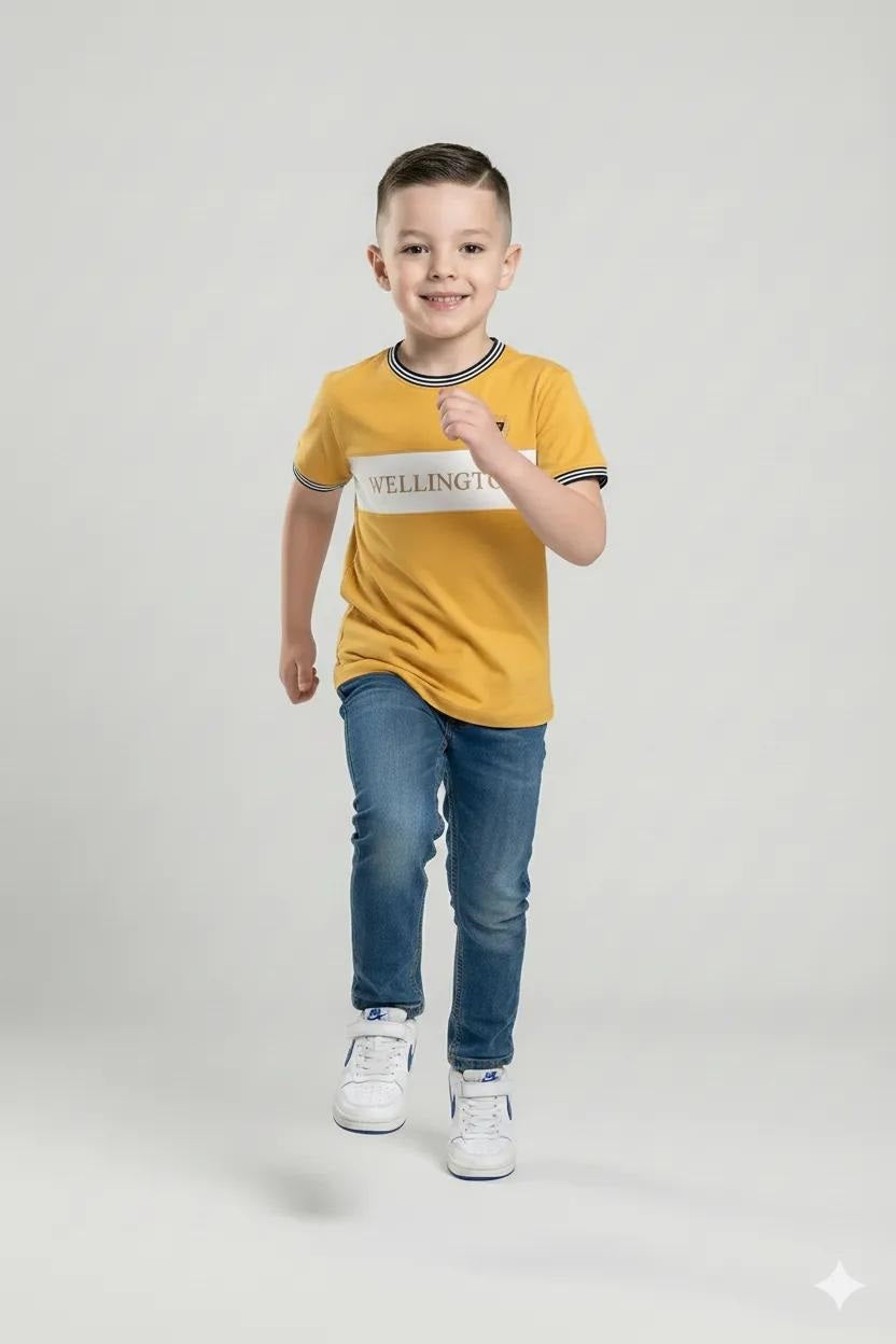 Boys Mustard Printed Round Nek Short Sleeve T-shirt