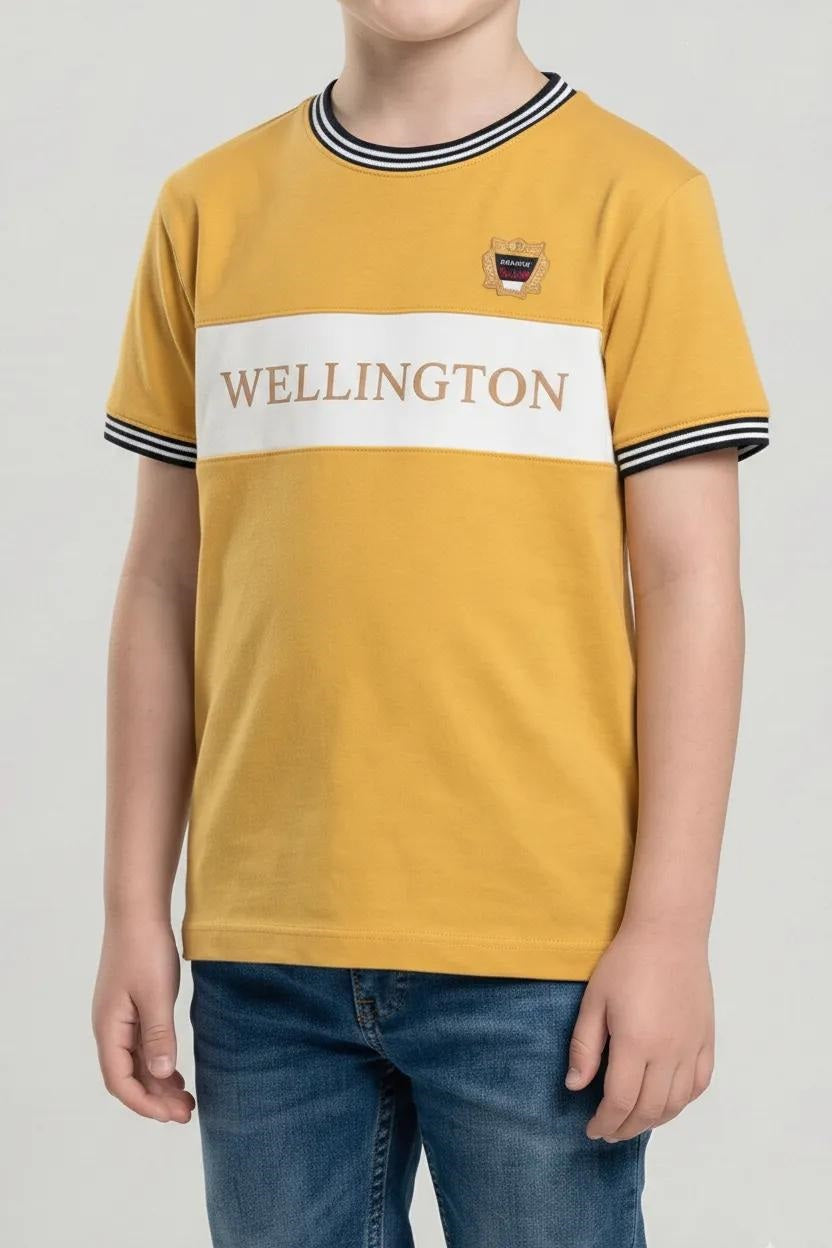 Boys Mustard Printed Round Nek Short Sleeve T-shirt