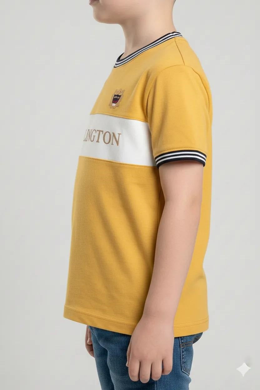 Boys Mustard Printed Round Nek Short Sleeve T-shirt