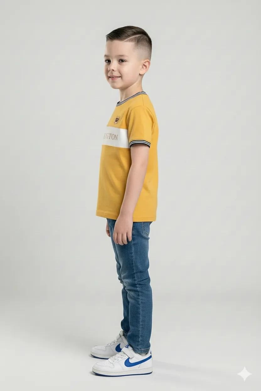 Boys Mustard Printed Round Nek Short Sleeve T-shirt
