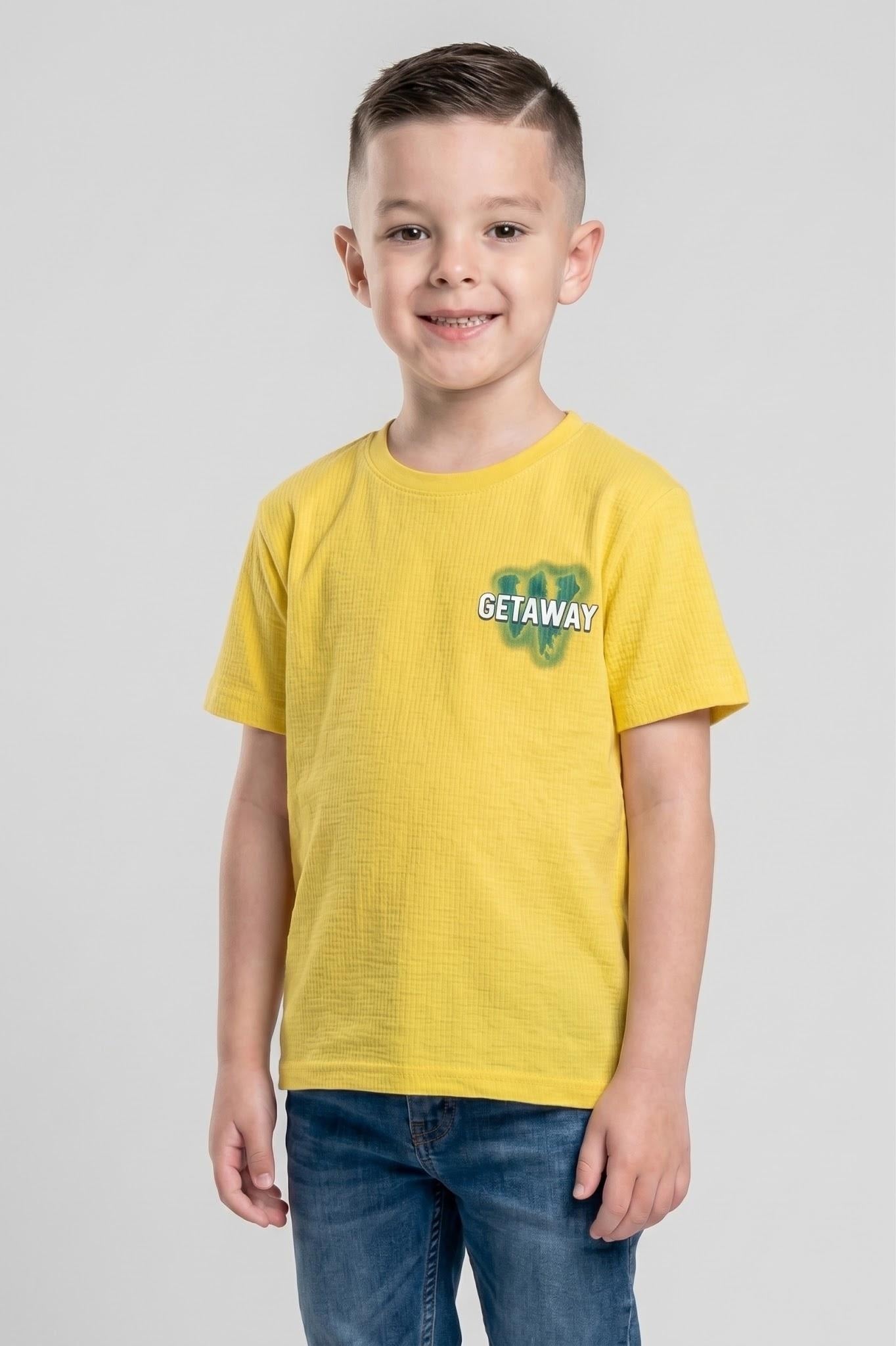 Boy Round Neck T-Shirt